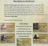 Greater Than Games | Horizons of Spirit Island: Punchboard Panels, Cooperative Strategy Board Game Accessory Upgrade