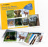 Keeping Busy Match The Photo Game - Fun Facts Set of 4 Matching Games for Adults & Dementia Activities