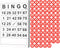 Lewtemi Vintage Bingo Board Game - Classic Bingo Cards Set with 40 Number Cards and 75 Chess for Large Parties