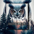 Owl Puzzles for Adults 1000 Pieces, Difficult Bird Challenging Jigsaw Puzzles as Bird Decor