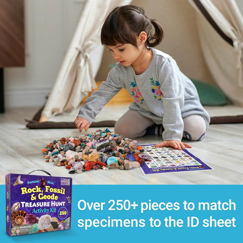(250 Set) DANCING BEAR Rock, Mineral & Geodes Treasure Hunt Activity Kit Pc Real Shark Teeth Fossils, ID Sheet & Rock