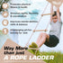 Wooden Climbing Rope Ladder for Kids - Ninja Warrior Obstacle Course Accessory for Swing Set & Treehouse