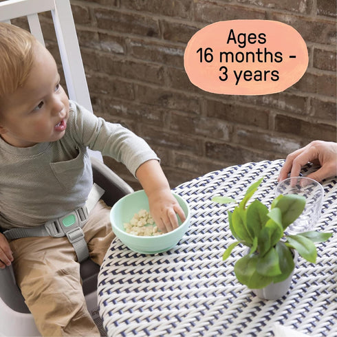 3-Point Ingenuity SmartClean Toddler Booster Seat for Kitchen Chair Lightweight for on-the-go, Easy-Clean, Harness