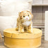 DEMDACO Large Maine Coon Cat Striped Ginger Plush Stuffed Animal Toy