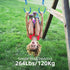 PELLOR Multi-Color Ninja Rings, Gymnastic Rings Backyard Playground Training Equipment Play for Kids & Adults, Swing