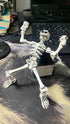QWZFirst T13 5.12-in Sets (1pcs) Skeleton Action Figure, Movable Articulated Human Skeleton, Action Figure Wearing