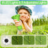 WINWEND -1000X 2'' 3-10 Kids Microscope Pocket Microscope Portable Microscope for Kid | Photo and Video Mini