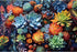 500 Pieces Jigsaw Puzzle for Adults, Succulents Puzzle, Colorful World of Succulents, Great Gift Idea