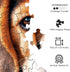 1000 No Image Puzzle Irregular Pieces Extreme Difficult Jigsaw Challenge Adults Hardest Puzzle No Guide Ultimate Brain