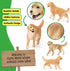 3 3+ 16395 schleich Farm World - Female Golden Retriever Figurine - Realistic Barnyard Dog Figure for Screen-Free Play