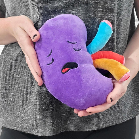 Plush Kidney Stuffed Body Organ Toy for Get Well Gift, Health Education and More