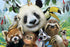 Anatolian 100534247 Puzzle: 500 Zoo Selfie=, multicolor