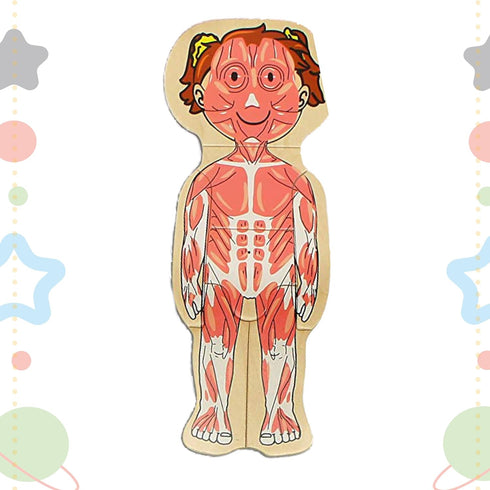 Kidzlane Girl Wooden My Body Puzzle - 29 Piece Girls Anatomy Puzzle for Kids Ages 3 Plus