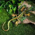 NUOBESTY Lizard Figurine Fake Plastic Lizard Toy Action Figure, Reptile Toy for Collection and Education (Green)