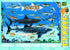 100 Piece Jigsaw Puzzle - Sharks