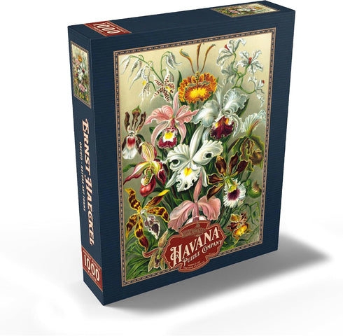 MyPuzzle Orchid - Vintage Art Poster, Ernst Haeckel - Premium 1000 Piece Jigsaw Puzzle for Adults