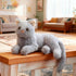 TUKVESZE 12 inch Gray Cat Plush Soft Plush Cat Toy, Realistic Black Cat Stuffed Animal Gifts for Boys and Girls (Gray)
