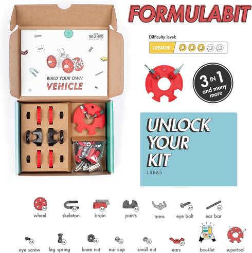 Vehicle Stem Building Toys - Educational Build Your Own Robot Toy for Kids Age 6+ - FormulaBit