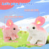 Hopearl Hopping Rabbit with LED Ears Interactive Electronic Pet Plush Bunny Toy with Sounds and Movements, Light up
