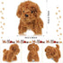 Sumind 9 Pcs Mini Plush Dog Stuffed Animals Bulk Dog Plush Party Favors Small Soft Plush Dog Toy for Goodie Bag Fillers Kids Baby Show Birthday Valentine's Day Gift(Curly Puppy)