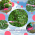 Sunny Days Entertainment Pink Princess Bubble Wand Kit, Outdoor Toy for Kids with Bubble Solution