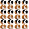 24 Pcs Guinea Pig Stuffed Animal Bulk Plush Dolls with Chain for Kids Party Favors