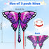 Easy to Fly Kite for Kids & Adults, Large Butterfly Kites with String for Outdoor Toys and Birthday Gifts