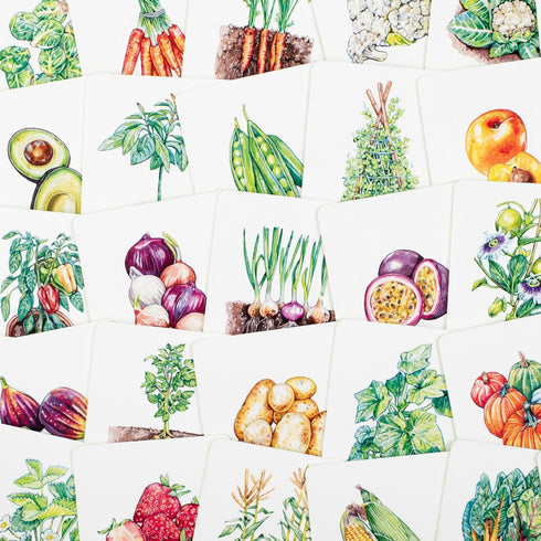 Laurence King Gardener's Match A Fruit and Vegetable Memory Game