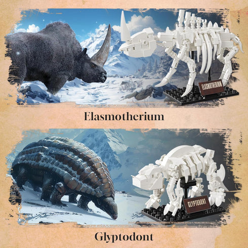 6 in 1 Fossil Building Kit - Compatible with Lego Dinosaur Natural History Museum, 928 PCS Educational STEM Toys