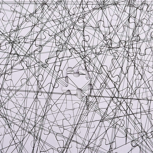 Bgraamiens Puzzle-The Lines - 1000 Pieces Black and White Simple Fashion Challenge Jigsaw Puzzles