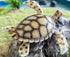 Gemini&Genius Sea Turtle Toy: Large Marine Animal Figure, Ocean Educational Toy, Backyard Garden Decoration