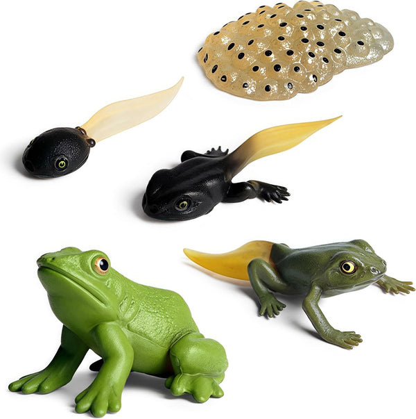 Gemini&Genius Life Cycle of Frog Figurines, Bulk Insect Growth Diary Action Figures, Fun Learning Gifts, Party Favors