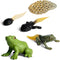 Gemini&Genius Life Cycle of Frog Figurines, Bulk Insect Growth Diary Action Figures, Fun Learning Gifts, Party Favors