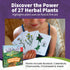 Wildcraft! an Herbal Adventure Game/Family Game: Learn 25 Herbs, Coop Board Games for Family Night, Educational Games