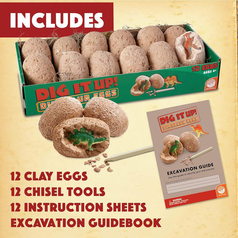 Excavate Your Own Dinosaur Eggs Kit - Educational Digging Adventure