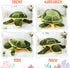 Civaner 30 Inches Soft Plush Sea Turtle Stuffed Animal, Giant Plush Pillow Toy for Birthday Graduation Gifts.