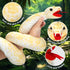 53 Inch Giant Snake Plush Mommy with 3 Babies - Realistic Golden Python Stuffed Animal Easter Gift for Kids