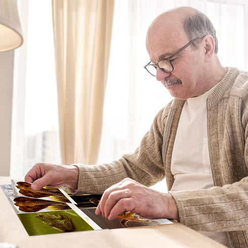 Keeping Busy Match The Photo Game - Fun Facts Set of 4 Matching Games for Adults & Dementia Activities