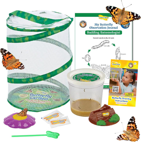 Insect Lore Butterfly Garden with 5 Live Baby Caterpillars - STEM Activity
