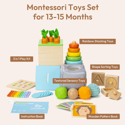 Montessori Toys Set for Babies 13-15 Months, 5 in 1 Educational Wooden Learning Toys with Sensory Ball & Object