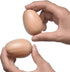 4 PCS Wood Egg Shakers Set, Musical Percussion Instruments with Natural Finish