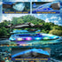 2.4Ghz 8-12,Toy JOI MEW RC Boat for Kids with LED Lights, Remote Control Racing Boats for Ages Water Boat for Pools