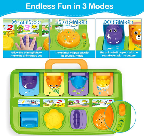 Baby Toys for 6-12 Months - Musical Pop-Up Cause and Effect Toys with Light & Music for Early Learning