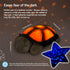 Cloud b Calming Nightlight Star Projector, Gentle Brightness, 3 Colors, 8 Constellations, Auto-Shutoff, Twilight Turtle