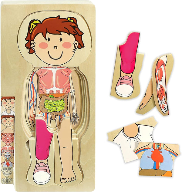 Kidzlane Girl Wooden My Body Puzzle - 29 Piece Girls Anatomy Puzzle for Kids Ages 3 Plus