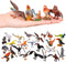 Realistic Bird Figurines, 24pcs Eagle, Parrot, Robin, Owl Toys, Educational Dollhouse Accessories, Birthday Cake Topper