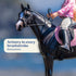 1:12 #61156 Breyer Freedom Series English Horse and Rider Figurine - Premium Scale Collectible Horse Toy - Educational