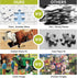 FaPtoo 2-Pack 300 300 Countryside 20.5 15 Pieces Puzzles for Adults, Friendship Farm Puzzles Pieces, Warmth Childhood