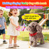 Marsjoy Set, Teddy Walking Barking Dog Toy Singing Puppy Repeat What You Say Teddy with Control Leash Electronic Dog
