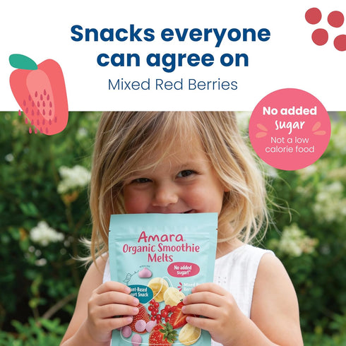6 Amara Smoothie Melts - Mixed Red Berries - Baby Snacks Made With Fruits and Vegetables - Healthy Toddler Snacks